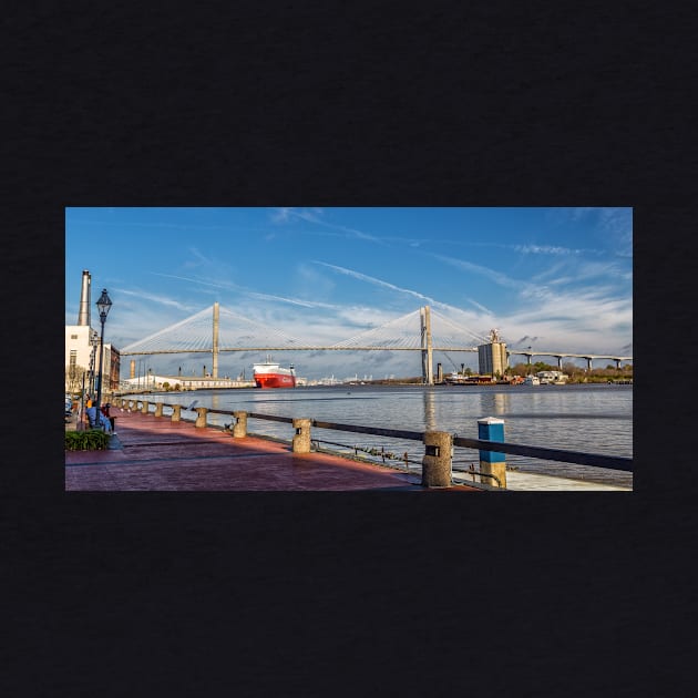 Talmadge Memorial Bridge Savannah by Gestalt Imagery